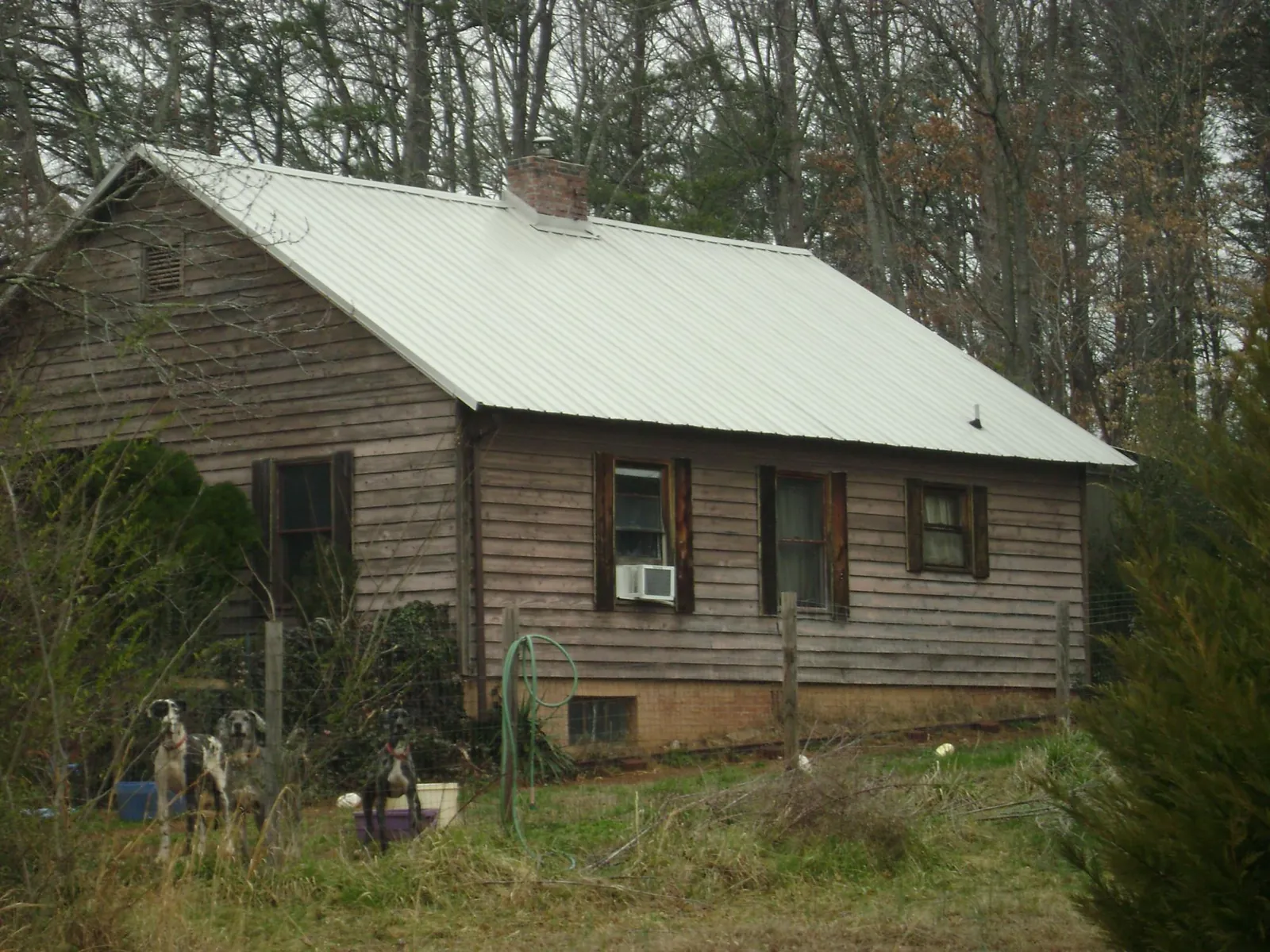White metal roof on an old wood sided farmhouse, from a Asphalt Shingle Roof Repair job in Colon